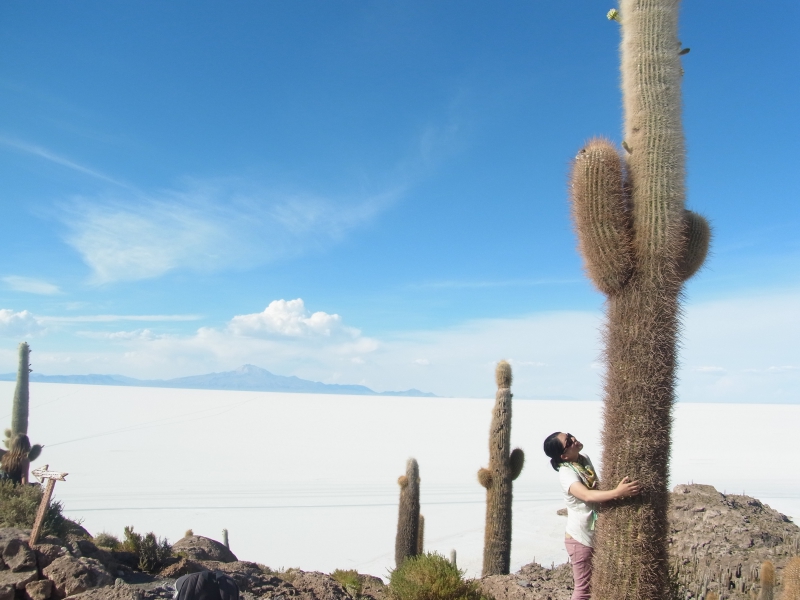 ウユニ塩湖の観光・見所・楽しみ方 インカ・ワシ島