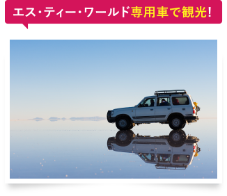 エス・ティー・ワールド専用車で観光!