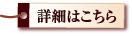 スペイン オプショナル詳細