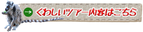 女子旅 マダガスカル情報