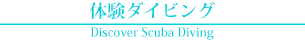 体験ダイビング Discover Scuba Diving