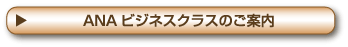 ANAビジネスクラスのご案内