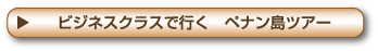 ビジネスクラスで行く ペナン島