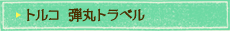 トルコ 弾丸トラベルのスケジュール