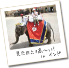 インド