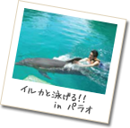 パラオ