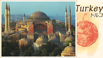トルコ 弾丸トラベル