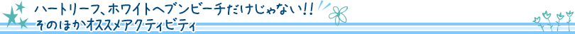 ハートリーフ、ホワイトヘブンビーチだけじゃない！！そのほかｵｽｽﾒアクティビティ