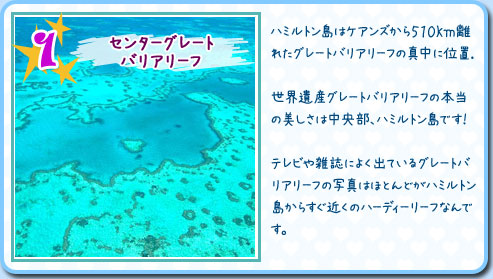 センターグレートバリアリーフ