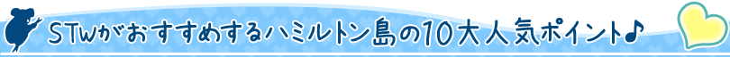 STWがおすすめするハミルトン島の10大人気ポイント