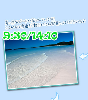 ホワイトヘブンビーチに上陸!