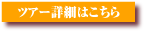 ツアー詳細
