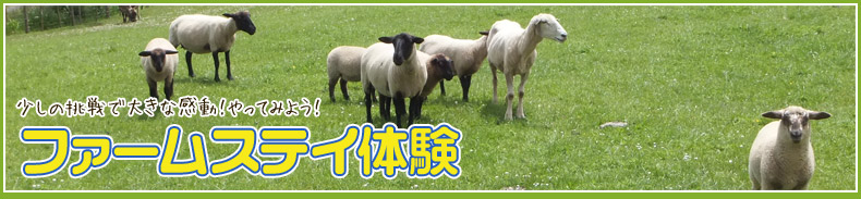 100人に100通りのニュージーランドを。