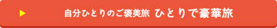 ベトナム 豪華一人旅ツアー