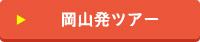 岡山発 アメリカ西海岸一 人旅ツアー