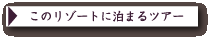 アリラ スーリ 宿泊ツアー