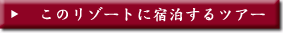 ヴィラデダウンに宿泊するツアー