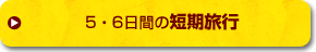 5･6日間の短期旅行