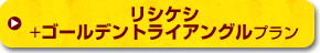 リシケシ＋ゴールデントライアングル