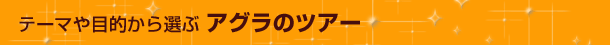 アグラ 目的別ツアー