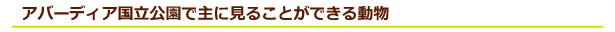 ケニア サファリ・国立公園・国立保護区特集 アバーディア国立公園で主に見ることができる動物