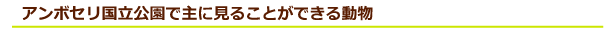 ケニア サファリ・国立公園・国立保護区特集 アンボセリ国立公園で主に見ることができる動物