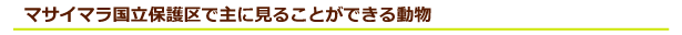 ケニア サファリ・国立公園・国立保護区特集 マサイマラ国立保護区で主に見ることができる動物