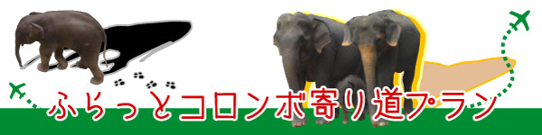 モルディブ 立ち寄りプラン コロンボ