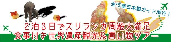 モルディブ 観光付きプラン コロンボ