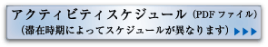 アクティビティスケジュール