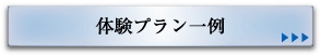 体験プラン一例