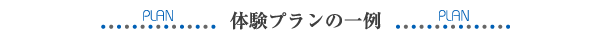 体験プランの一例