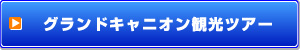 セドナ ラスベガスから日帰り観光