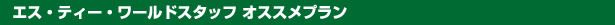 エス・ティー・ワールドスタッフ オススメプラン