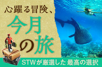 【毎月更新】2025年7月・今月のおすすめツアー特集