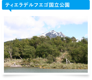 ティエラデルフエゴ国立公園