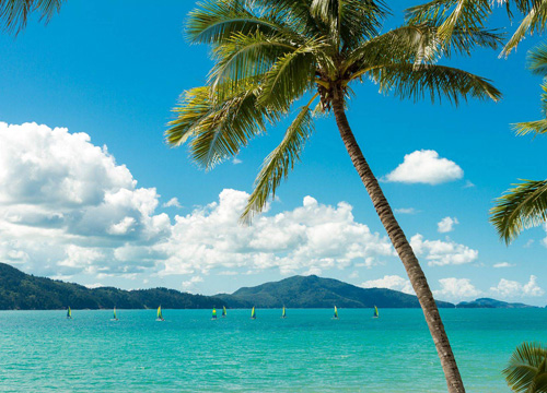 ハミルトン島イメージ1