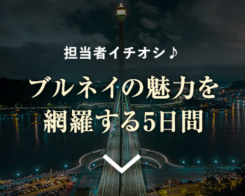 ブルネイの魅力を網羅する5日間