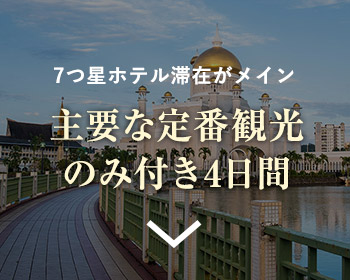 主要な定番観光のみ付き4日間