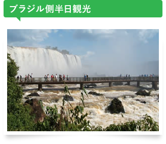 ブラジル側半日観光
