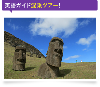 英語ガイド混乗ツアー!