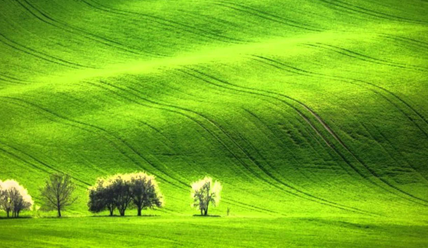 緑の絨毯が広がる「モラビア大草原」