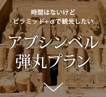 アブシンベル弾丸プラン