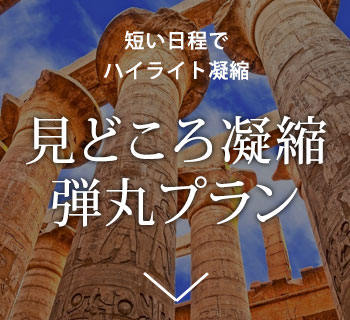 見どころ凝縮弾丸プラン