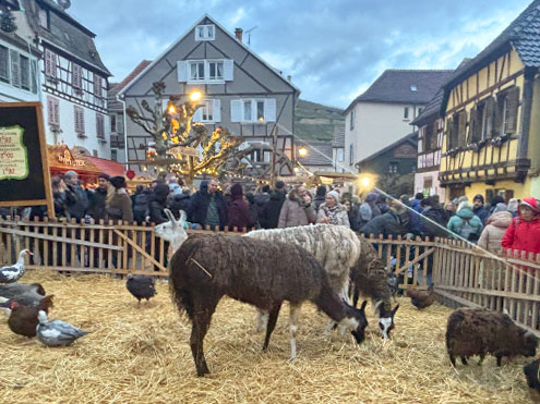 リボヴィレのクリスマスマーケット