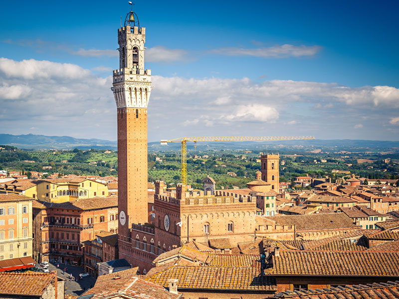 シエナイメージ