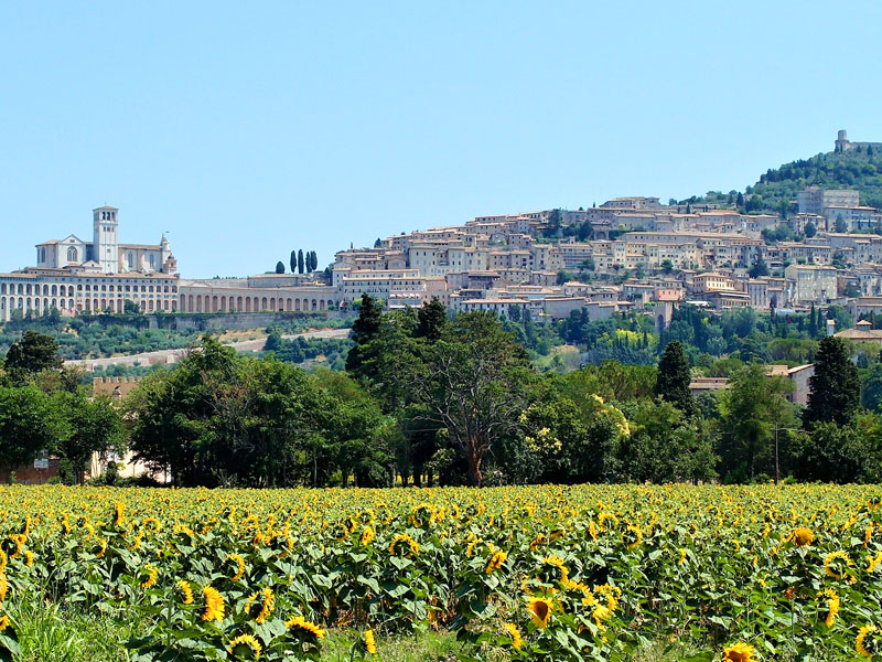 アッシジイメージ