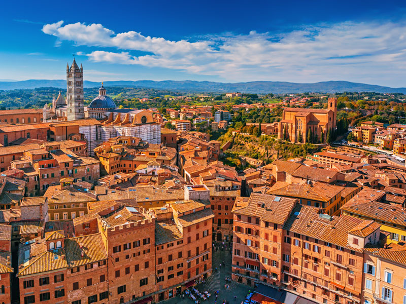 シエナイメージ