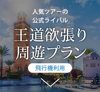 【飛行機利用】王道欲張り周遊プラン