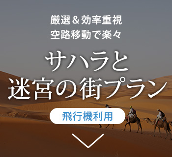 【飛行機利用】サハラと迷宮の街プラン